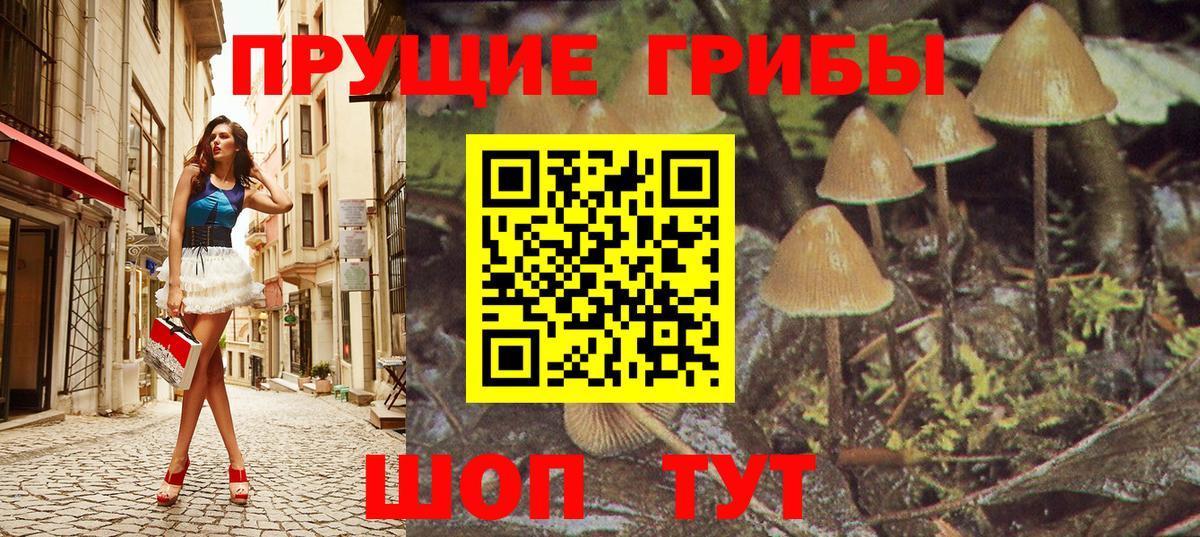 Галлюциногенные грибы мицелий Новочеркасск
