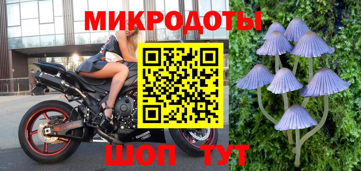 Новочеркасск  Галлюциногенные грибы мухоморы  что такое наркотик  Вход с VPN 